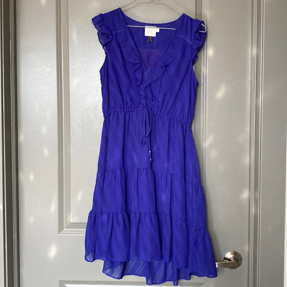 Royal Blue Swiss Dot Dress